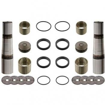 FEBI BILSTEIN 29730 Kit Riparazione Perno Fuso A Snodo