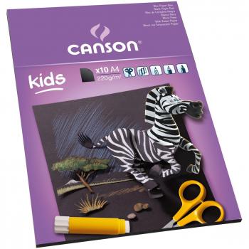 Canson Cartolina Disegno A4 Assortita 10 Fogli