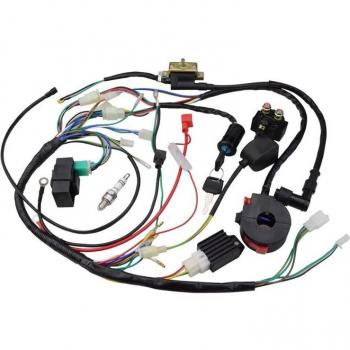 ATV 150cc 200cc 250cc CDI Wiring Harness with Ignition Coil