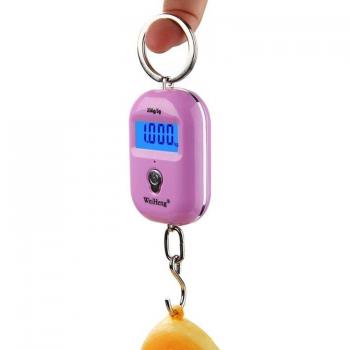 Mini Electronic Luggage Hook Scale 25kg x 5g