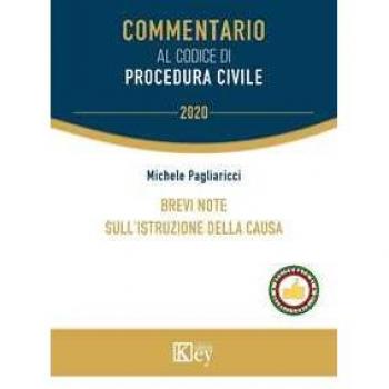 Brevi note sull'istruzione della causa