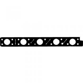 Junta, colector de escape REINZ 71-39441-00
