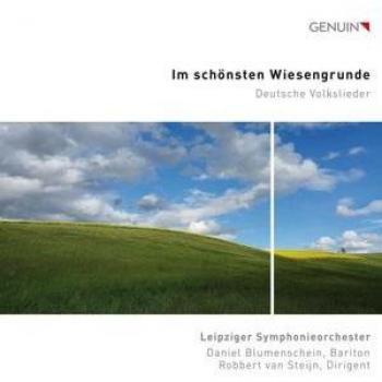 Im Schönsten Wiesengrunde - Lieder