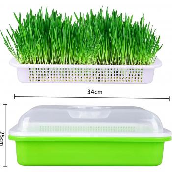 Double Layer Seedling Tray