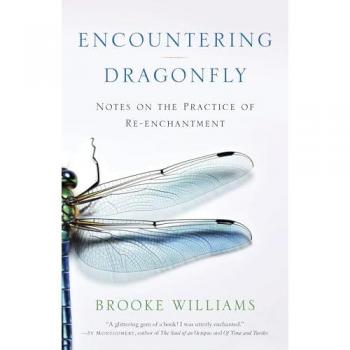 Brooke Williams Encountering Dragonfly