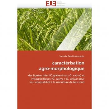 caractérisation agro-morphologique: des lignées inter