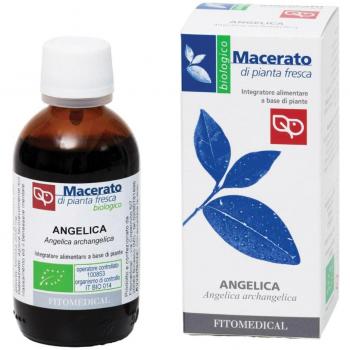 Angelica Bio 50 ml – Funzioni Digestive