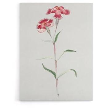 Nadeshiko Blossom Canvas Art – Artery8 Vintage Japanese Floral in Blue, 18×24 inches