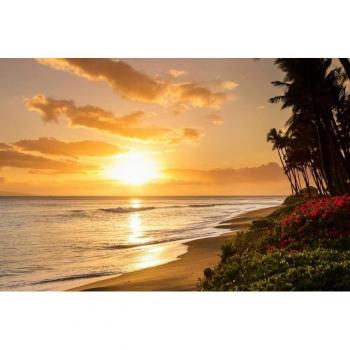 Papermoon Tapete Kaanapali Beach Hawaii