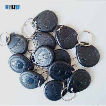 EM4100 Read-Only RFID Key Tag
