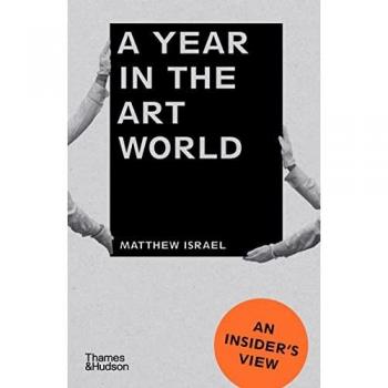 Matthew Israel A Year in the Art World