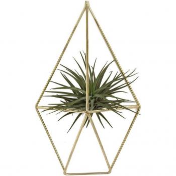 Accent Décor Pentagone Géométrique pour Plantes Air