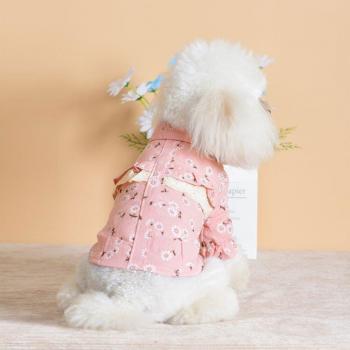 Pawfect Pup T-Shirt