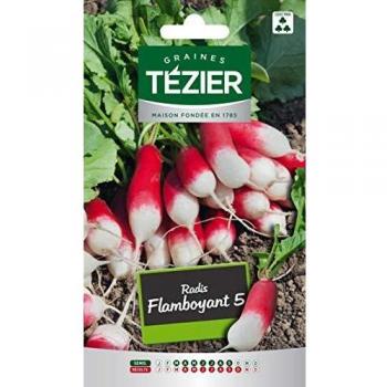 Tezier - Radis Flamboyant 5 Fort Grammage