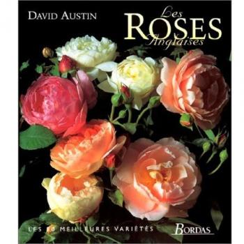 Les roses anglaises (Jarjar)