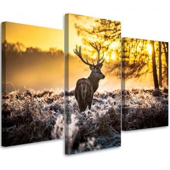 Yellow Deer Forest Sunset Canvas Set 60x40
