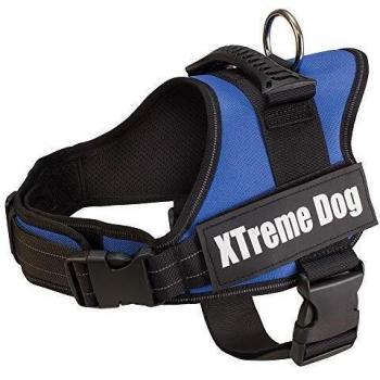 Arnés Xtreme Dog Azul para perros pequeños - Talla: XS/44-57 cm