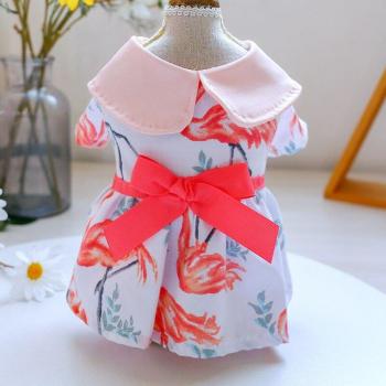 Flamenco Canino Rosa Chic