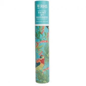 West Design RHS Paint by Numbers Wall Hanging Kit - Tropical Birds