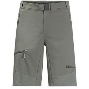 Shorts Jack Wolfskin Ziegspitz Verde per Uomo