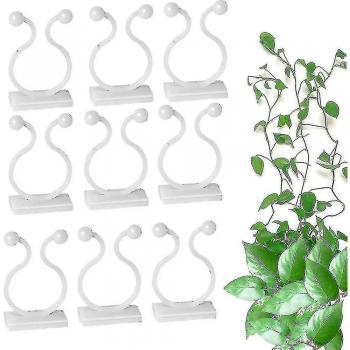 Crochets auto-adhésifs pour plantes - 100 unités