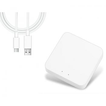 Wireless Multifunctional Gateway for Smart Home