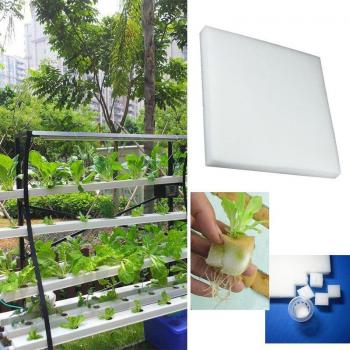 100pcs Hydroponic Planting Sponge