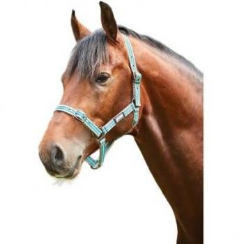 Roma Gestreiftes Kopfgeschirr für Ponys
