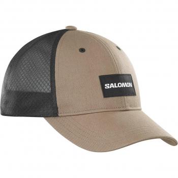 Gorra Salomon Trucker Curved marrón L-XL