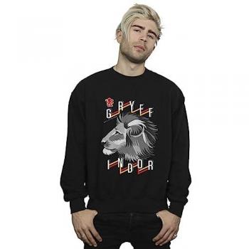 Large Gryffindor Lion Graphic Pullover