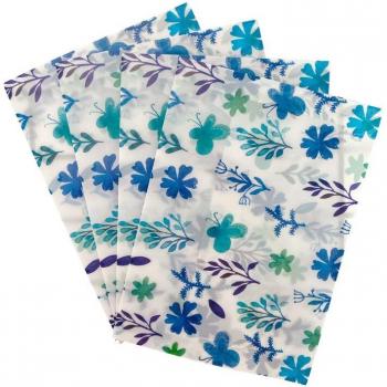 Translucent Color Printing Envelopes - 4 Pack