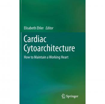 Cardiac Cytoarchitecture: How to Maintain a Working Heart
