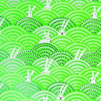 Rico Design Oster-Hase-Folie – Geschenkverpackung
