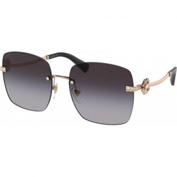 Bvlgari BV6173B 20148G 58