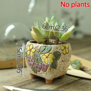 Strongwell Home Decors Retro Strawberry Potted