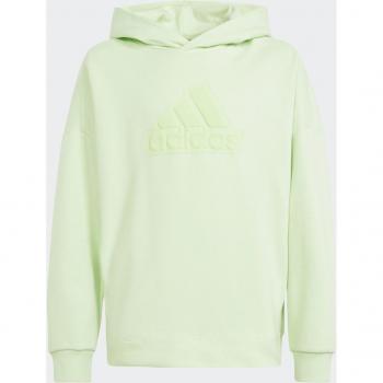 Adidas Logo Sudadera Con Capucha Chicos - Verde Claro