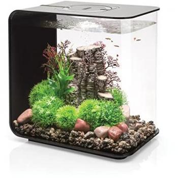 Flusso OASE 30 LED Nera