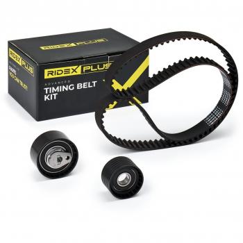 Cinghia Ridex Plus 307T0137P Kit