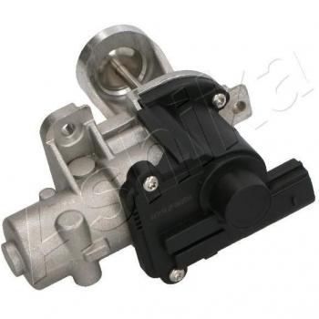 Valvola di Ricircolo Gas Scarico ASHIKA 150-00-0928