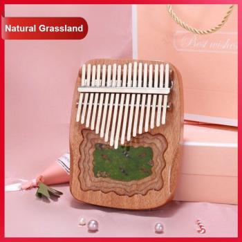 Cute 17-Key Kalimba Musical Instrument