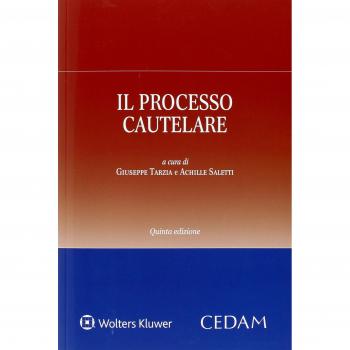 Il processo cautelare
