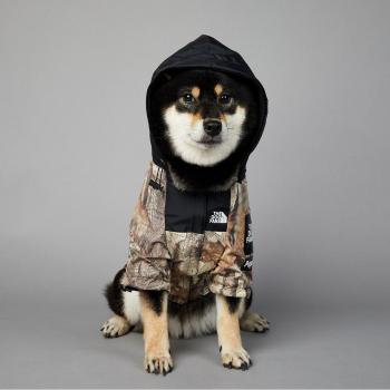Big Dog Rain Jacket with Maple Leaf Design