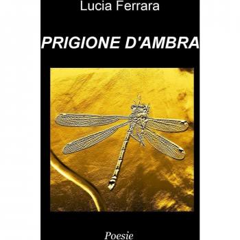Prigione d'ambra