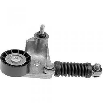 Rodillo Tensor 65x25,5 OEM 1201181 3RG