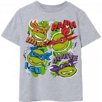 Teenage Mutant Ninja Turtles Youth Face Graphic T-Shirt 13-14 Grey