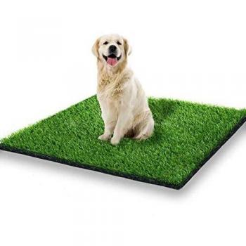 STARROAD-TIM Fake Grass for Dogs