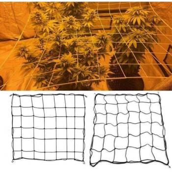 Elastic Nylon Trellis Netting with Hooks for Garden Plants