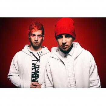 Poster de Twenty One Pilots en tejido 20x13 pulgadas