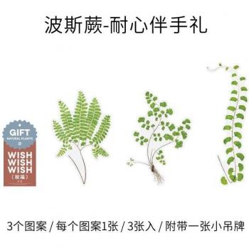 Large Size Plant Wall Decals for Kids' Rooms
