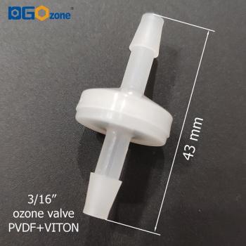 Non-Food Grade PVDF Check Valve 1/8 to 1/4 DGOzone